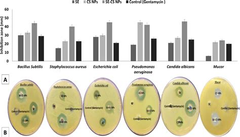 Cytokine Levels Il 10 A B And C Tnf α D E And F And Tgf β G H Download Scientific