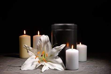 What To Do With Cremated Ashes Seniorresource