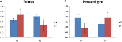 Frontiers Sex Differences In Spontaneous Brain Activity In