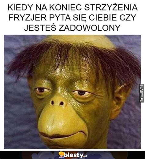 Kiedy Na Koniec Strzy Enia Fryzjer Pyta Memy Gify I Mieszne Obrazki