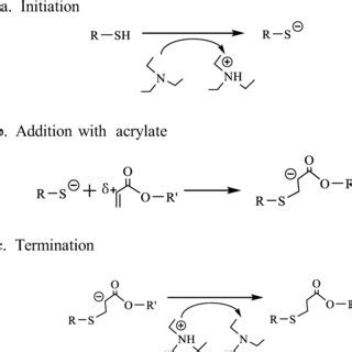 Schematic Representation Of The Mechanism Of Thiolacrylate Michael