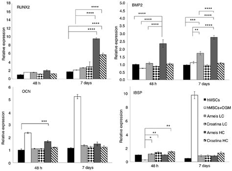 Gene Expression Analysis Of Runx2 BMP2 OcN And IBSP At The MRNA