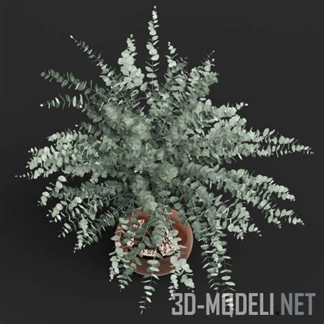 3D модель – Ваза с листьями эвкалипта