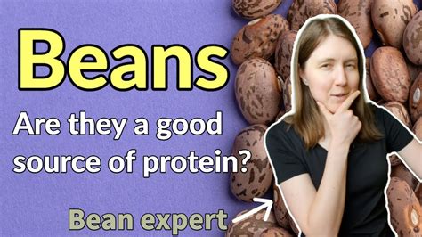 Are Beans A Good Source Of Protein Youtube