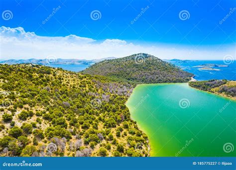 Laguna Turchese E Spiagge Di Pino A Dugi Otok Isola Croazia Immagine