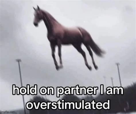 hold  partner   overstimulated imgflip