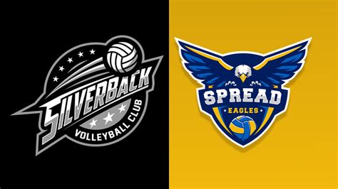 Volleyball Logo Design Tips Make Your Team Stand Out