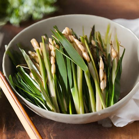 Cattail Shoots Stir-Fry – Forage.