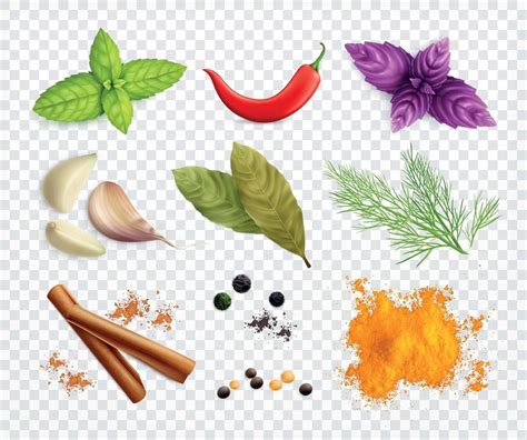 Spices And Herb Set 3420687 Vector Art At Vecteezy