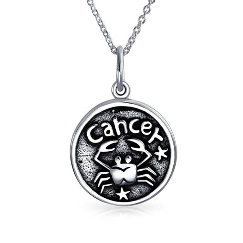 Zodiac Astrology Round Medallion Pendant Necklace 925 Sterling Silver