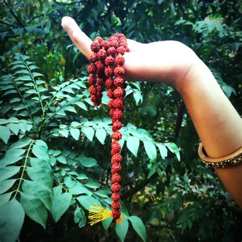 Certified Rudraksha Mala Original Beads For Pooja And Wearing For