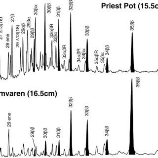 M Z Mass Chromatograms Showing The Distributions Of Hopanes And