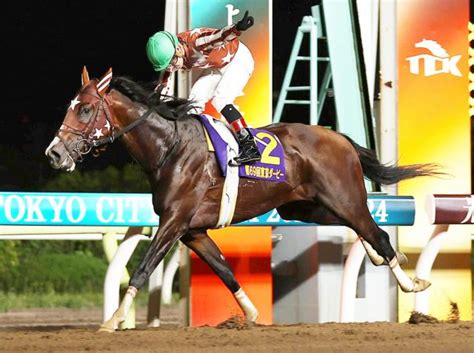 【東京ダービー】ミックファイアが6馬身差の圧勝 史上2頭目の無敗での南関東2冠馬 競馬ニュース Netkeiba