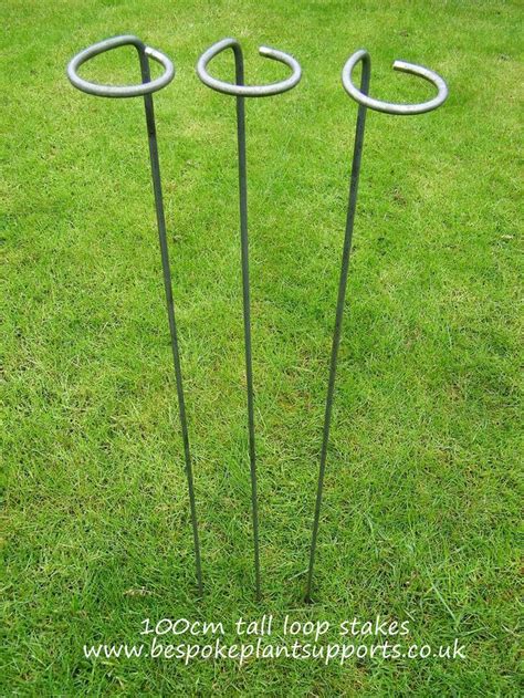 Loop Plant Support Stake Single 100cm Tall Plant Supports Plants