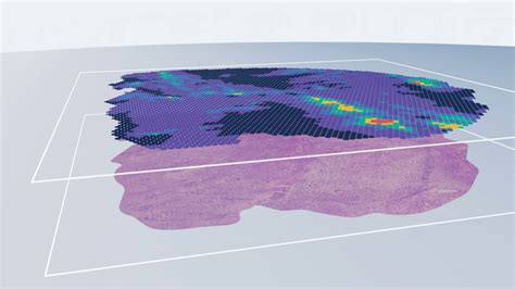 Spatial Multiomics X Genomics