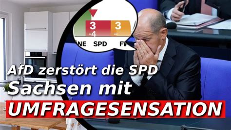 AfD In Sachsen Kurz Vor Der Absoluten Mehrheit YouTube