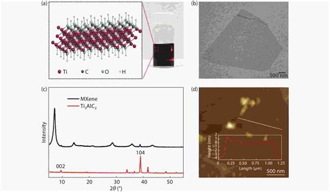 A Mxene Functionalized Paper Based Electrochemical Immunosensor For