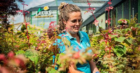 Weihnachten Lassen Sie Sich Im Gartencenter Leurs Inspirieren