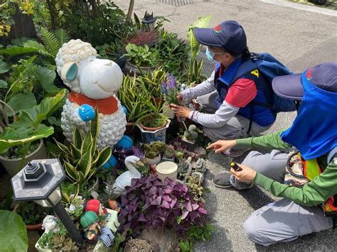 高雄出現第3例本土登革熱 母女回台南過端午先後確診 生活 自由時報電子報