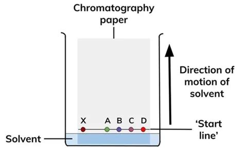 The Principle Of Paper Chromatography A Comprehensive Guide