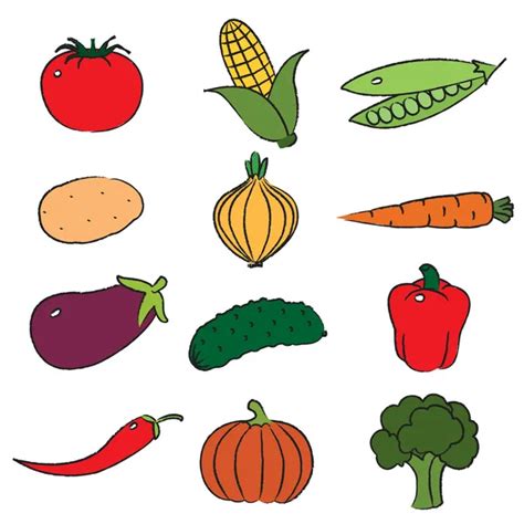 Vegetables — Stock Vector © ILonika #6365035