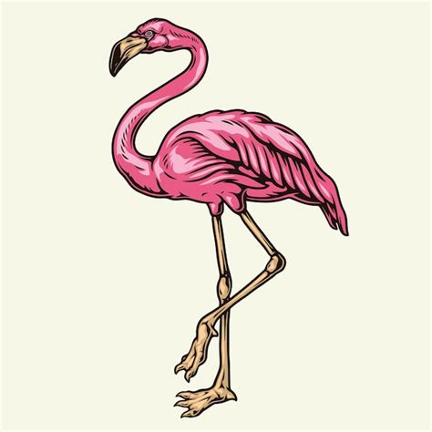 Lindo Flamingo Rosa Isolado Vetor Premium