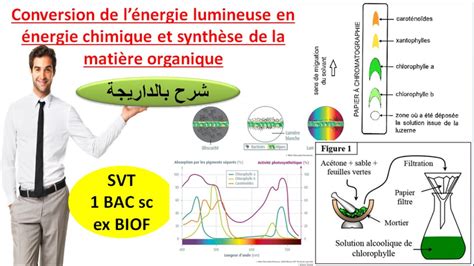 Conversion de l énergie lumineuse en énergie chimique svt 1bac sc ex