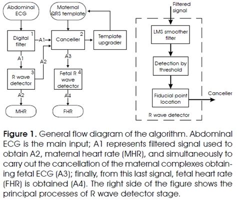 Single Channel Abdominal Ecg Algorithm For Real Time Maternal And Fetal