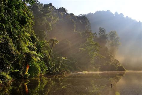 The Sun Is Shining Through The Trees And Water