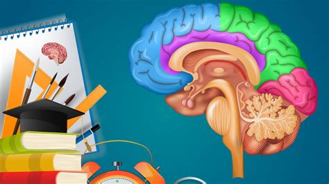 Neuroeducación Instituto de Neurociencias Aplicadas al Desarrollo