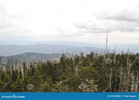 Clingmans Dome Smoky Mountains Stock Photo - Image of clingmans, clouds ...