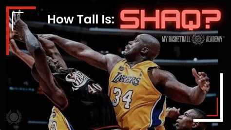 17+ Why Is Shaq So Tall - NosaTafara