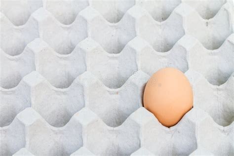 Egg In A Carton Package Stock Image Image Of Fragile 47223347