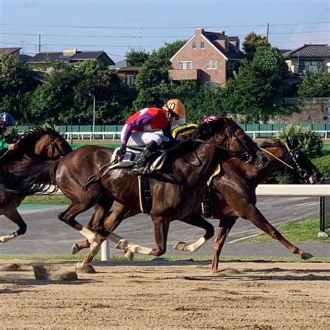 710日中央、地方競馬予想 主に地方競馬の予想＋株の記録＋旅のブログ