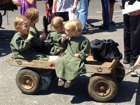 Lancaster County Mud Sale Life Is An Adventure Amish Country Mud