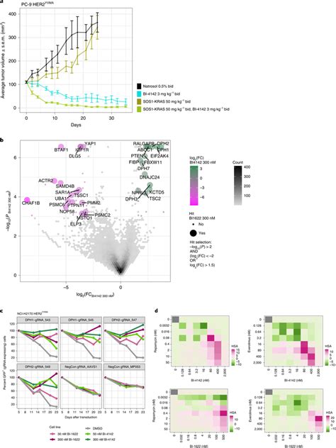 Combination Treatment Strategies A In Vivo Combination Experiment