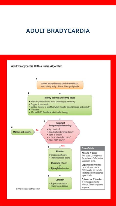 AHA 2015 Algorithms For BLS ACLS PALS Acls Study Emt Study Cardiac