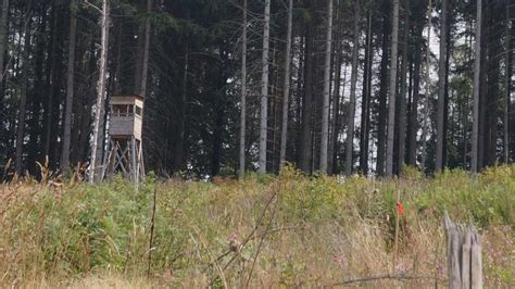 Tag der Nachhaltigkeit Darum brauchen wir Wälder