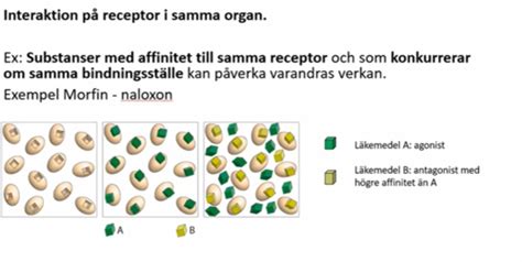 Farmakologi Farmakovigilans Flashcards Quizlet