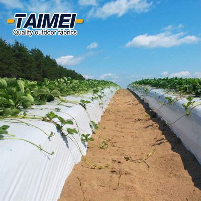 Biodegradable Mulching Film Agricultural Plastic Mulch Film For