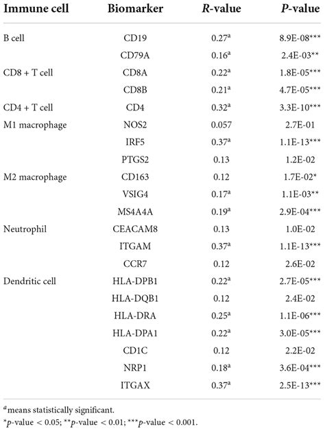 Frontiers High Expression Of RRM2 Mediated By Non Coding RNAs