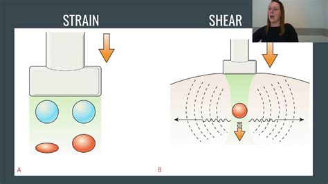 Ultrasound Elastography Explained Strain And Shear Youtube