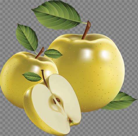 png apple image clipart transparent png apple nohatcc