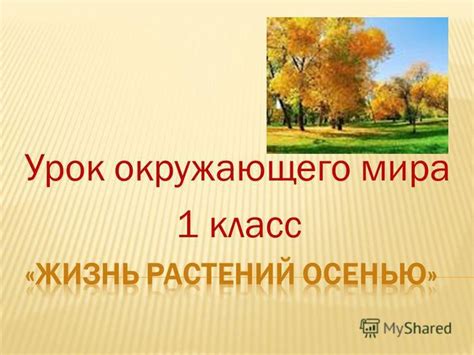 8 класс физика а.в.грачев