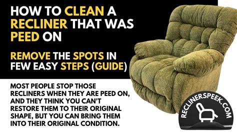 How To Clean A Recliner That Was Peed On Guide