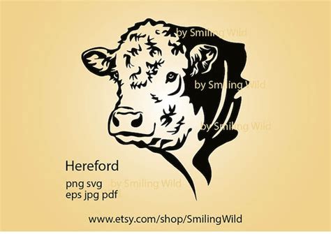 Black Angus svg cow head Farm animal portrait bull svg black angus bull cattle vector graphic ...