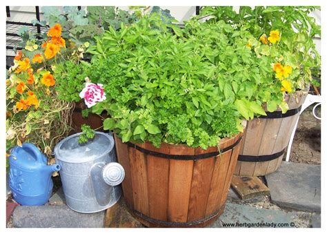 Herb Planter Where to Start With Pots, Boxes Wagon Wheel