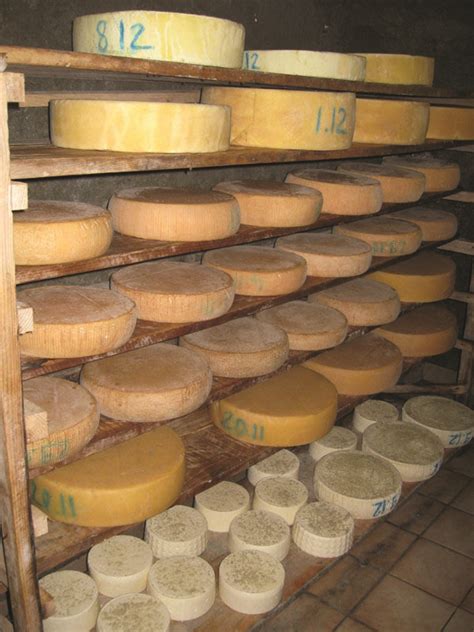 La ferme de Beaumaugnes à Saint Julien en Beauchêne Fromages fermiers