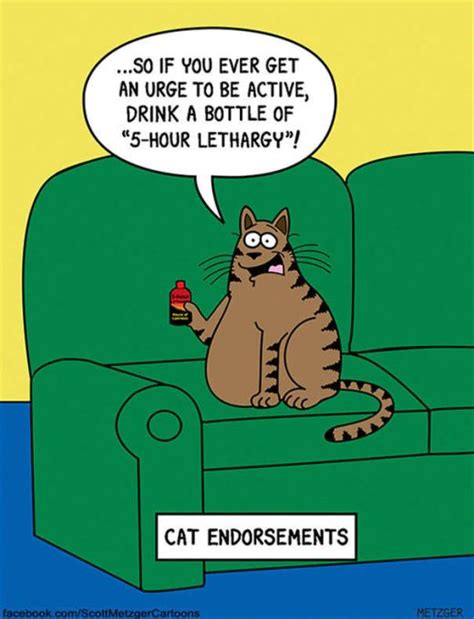 Funny Cat Cartoons | Fun