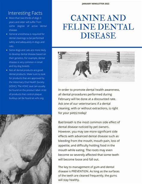 Dental Disease In Dogscats Ardmore Companion Animal Hospital